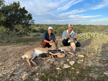 The Reawakening of Male Vitality