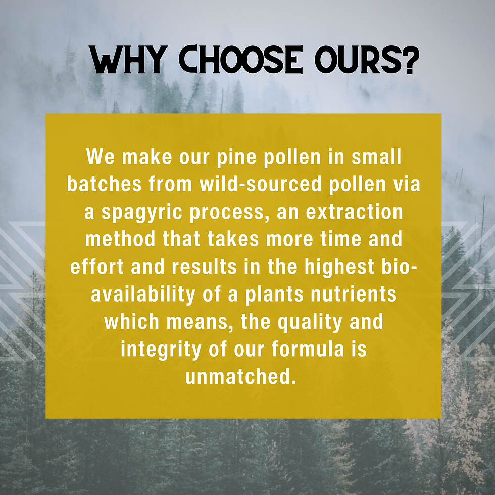 Thumbnail: Pine Pollen Spagyric | Shop Flower and Song