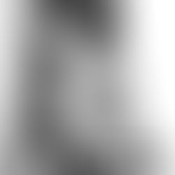 custom guitar with custom guitar pickup