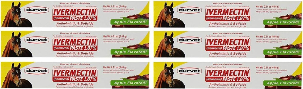 Durvet Ivermectin Paste 6 Pack 0.21 Oz Apple Flavored Horse Wormer Front View