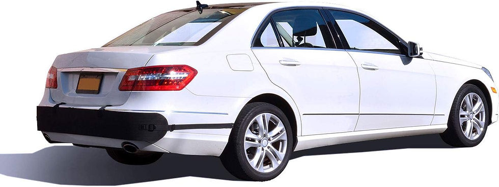 T-Rex Universal Rear Bumper Guard 2021 New Version Installed on Car