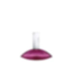 Calvin Klein Euphoria For Women Eau de Parfum 1 fl oz Bottle Front View