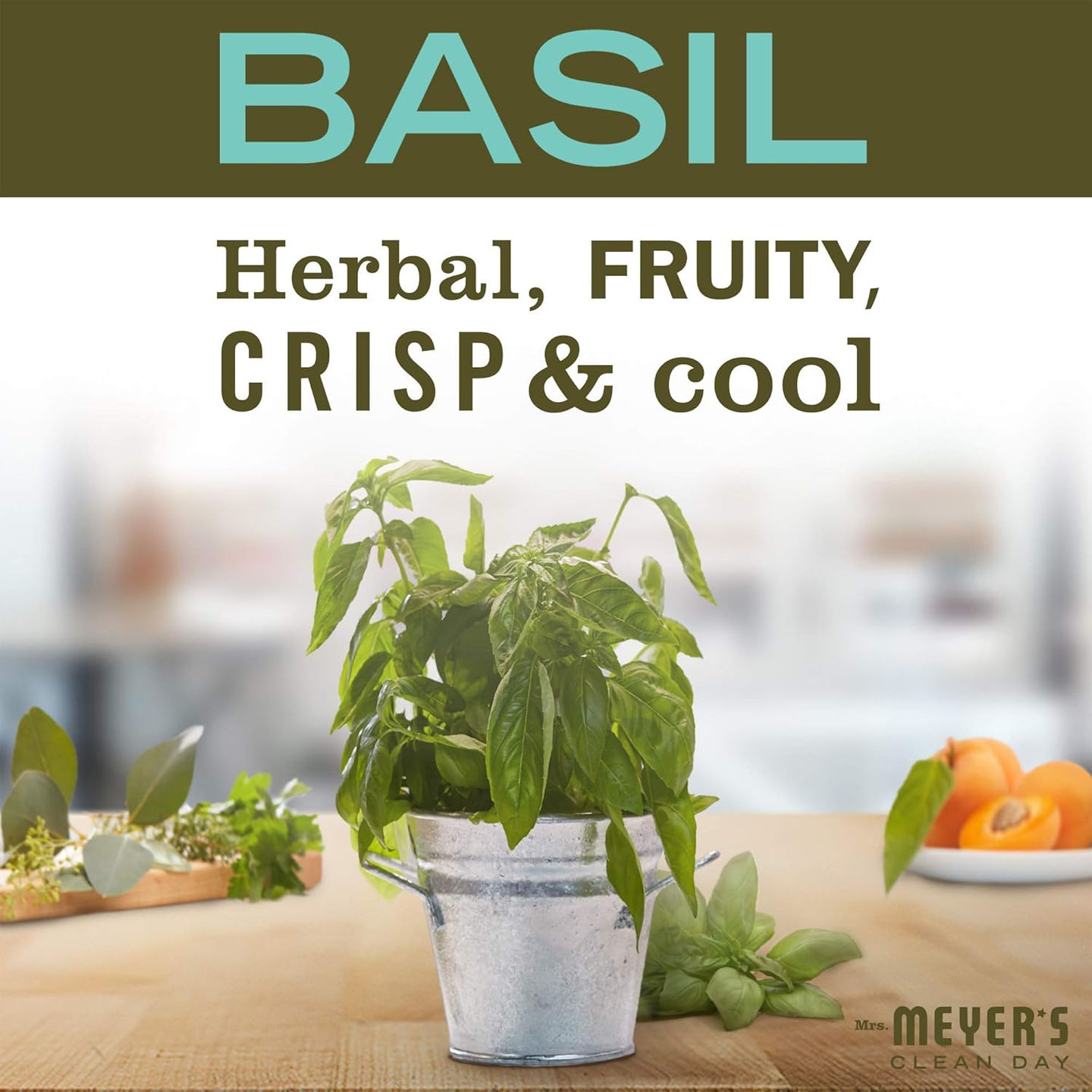 Cruelty-Free Liquid Dish Detergent – Basil Scent, 16 fl. oz Bottle