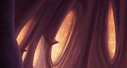 MA_MATTE_BG_Alveolus_01_SunSu