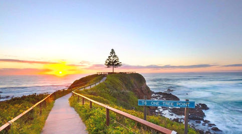 One Tree Point Lookout