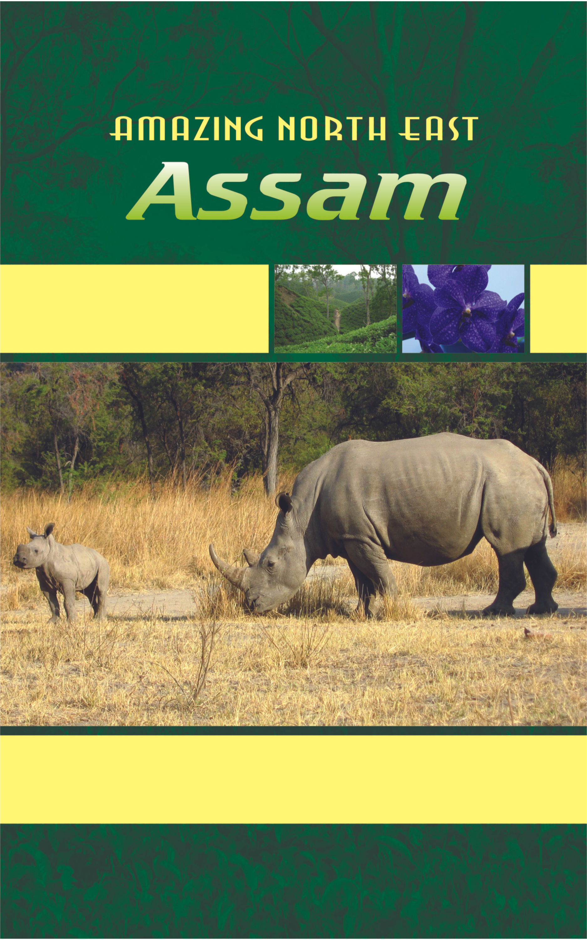 Amazing North East_ Assam