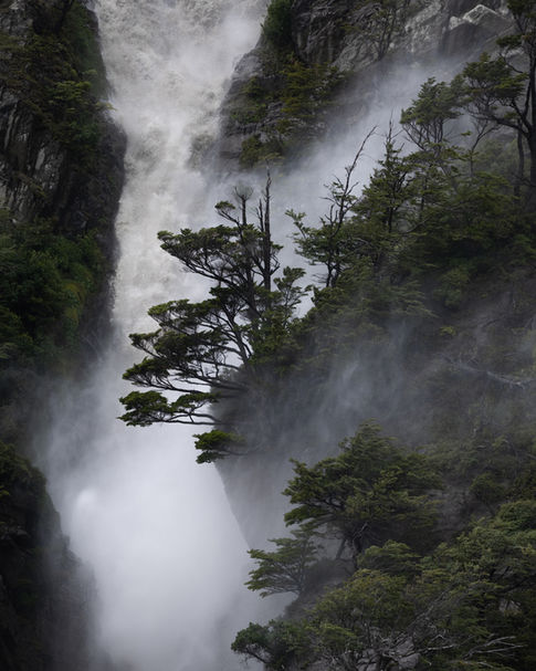 waterfall misting nearby trees in Torres del Paine National Park, landscape photography