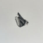 PNW Encounters (Pacific Madrone Bark).jpg