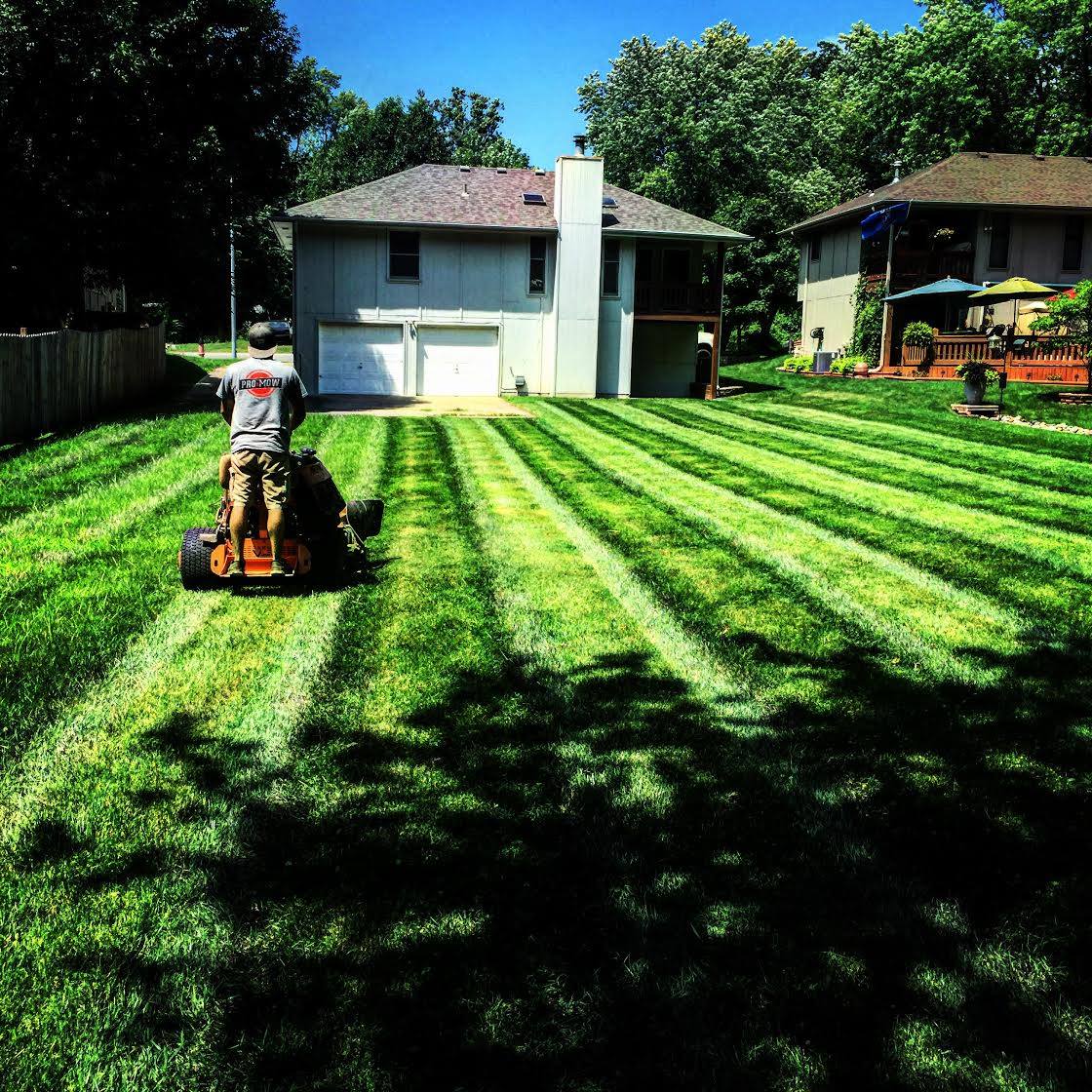 Lawn Care Kansas City Pro Mow Lawn Care
