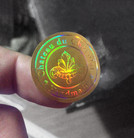 Holographic sticker with reflective shine