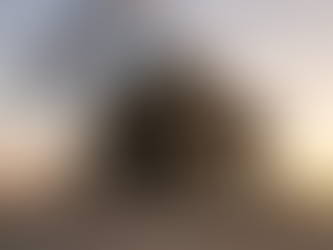 El espíritu de cuerpo ¿Se enseña, se construye? ¿Cómo hacemos para que nuestro cuartel se respire y se viva como tal?