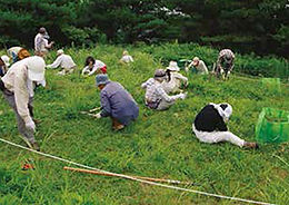 かつてのススキ草原を取り戻すために