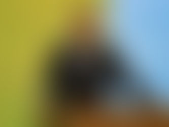 PT lança cartilha com orientações para influenciadores e militância digital pró-Lula