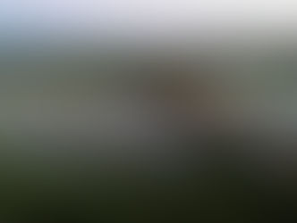 Conflito Hídrico: Ministério Público cobra multa de R$ 10 milhões de hidrelétrica por plantas aquáticas, mas silencia sobre origem da poluição
