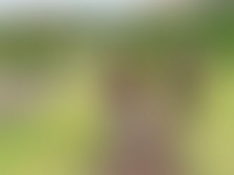 Mulheres relatam perigo e pedem segurança em região onde corredora foi atacada