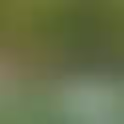 ‘Traumatizante’: noiva relata momento em que jovens foram eletrocutados durante casamento em Bonito