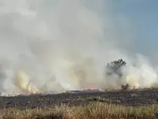 Perigo de vendavais, bolha de calor e secura de deserto alertam para risco de incêndios em MS