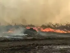 Risco Climático: Forte atuação do El Niño ameaça prolongar seca e elevar queimadas em Mato Grosso do Sul