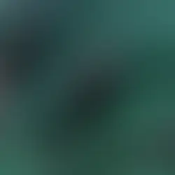 Acordo reforça proteção a golfinhos na Praia de Pipa