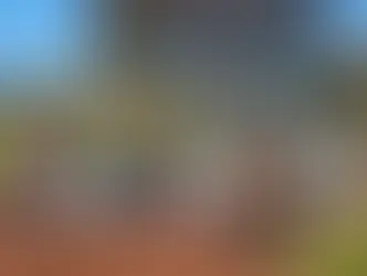 Pai encontra filho carbonizado dentro de casa em aldeia de Dourados