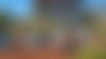 Pai encontra filho carbonizado dentro de casa em aldeia de Dourados
