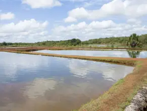 Bebê de 1 ano morre afogada em tanque de peixes na zona rural de Chapadão do Sul