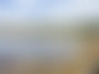Bebê de 1 ano morre afogada em tanque de peixes na zona rural de Chapadão do Sul