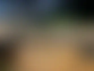 Justiça suspende operações da Vale em Ouro Preto (MG)