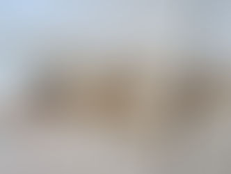 Vingança? Carro de jornalista é ‘pincelado’ com fezes humanas em Campo Grande: ‘Fizeram tocaia’