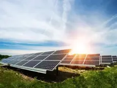 TCE barra licitação de R$ 165 milhões para compra de placas solares
