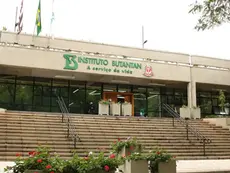 Após suspensão da Butantan-DV, Instituto vai monitorar vacinados e aprofundar estudos sobre o imunizante