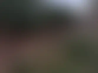 Espetinho de cobra? Plataformas identificam IA, mas morador de Campo Grande jura que tirou foto no córrego