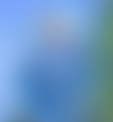 PF cumpre mandados judiciais expedidos pelo STF