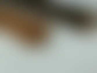 Dupla em situação de rua agride homem a pauladas no bairro Universitário