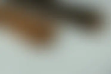 Dupla em situação de rua agride homem a pauladas no bairro Universitário