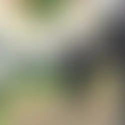 Homem é executado com vários tiros em Ponta Porã