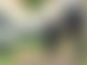 Homem é executado com vários tiros em Ponta Porã