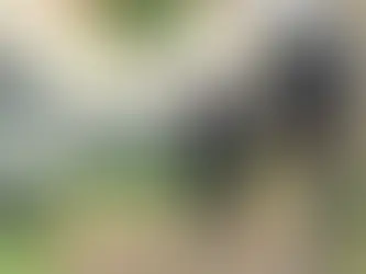 Homem é executado com vários tiros em Ponta Porã