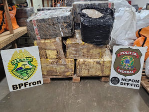 PF e PM/PR localizam cerca de 800 kg de maconha no Paraná