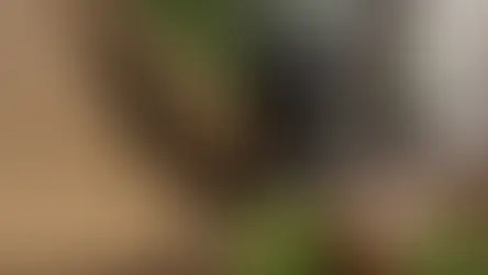 Cascavel é capturada em condomínio no bairro Santa Luzia