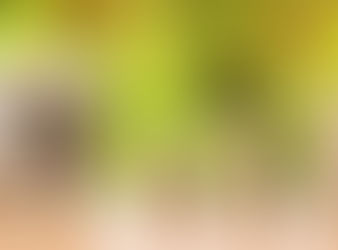 Salário mínimo será de R$ 1.621 em 2026, confirma Ministério do Planejamento