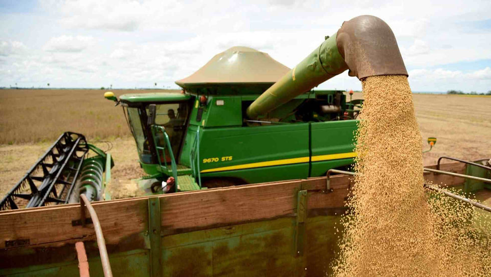 Safra de grãos em MS deve crescer 4,3% e se aproximar de 30 milhões de toneladas