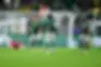 Em jogo truncado, Palmeiras esbarra na marcação do Internacional e empata sem gols em casa