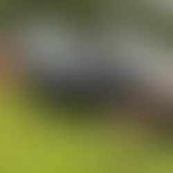 Carro capota deixando mãe e filha feridas na BR-262 em Campo Grande