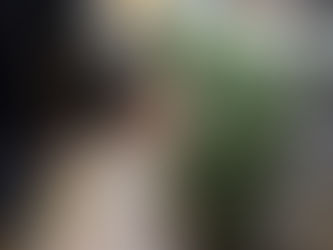 Polícia Civil localiza laboratório para cultivo ilícito de drogas em Chapadão do Sul