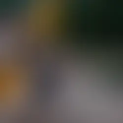 MG: mais de 400 produtores rurais foram prejudicados pelas chuvas