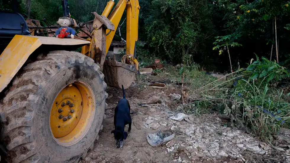 MG: mais de 400 produtores rurais foram prejudicados pelas chuvas