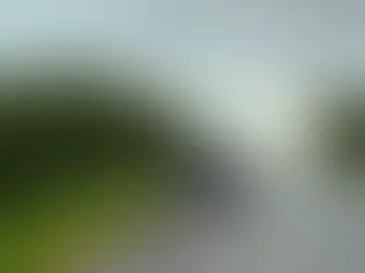 Mulher é encontrada morta com tiro na cabeça às margens da BR-262 na Capital