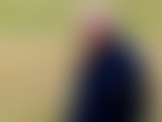 Trump publica vídeo que retrata Obama e Michelle como macacos