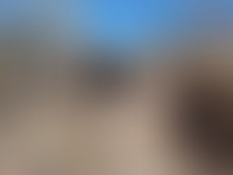 PF e ICMBio deflagram operação de combate a crimes ambientais na região da Ibiapaba/CE